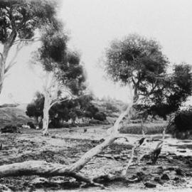 Ballarat landscape.