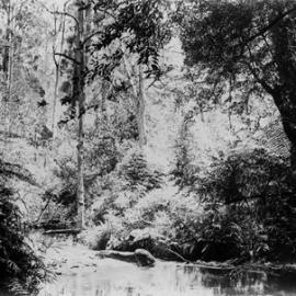 Ballarat landscape.