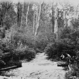 Creek near Ballarat.