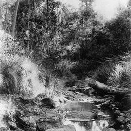 Creek near Ballarat.