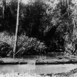 Ballarat waterway.