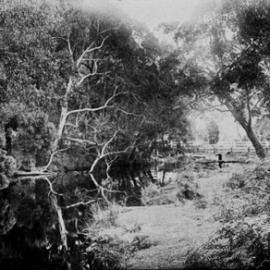 Creek near Ballarat.