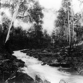 Ballarat landscape.