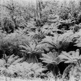 Landscape.