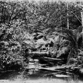 Creek near Ballarat.