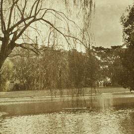 Winter by the lake, University of Melbourne, circa 1915.