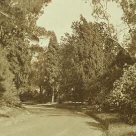 By the Conservatorium plot, University of Melbourne