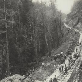 A group of railway workers laying a rack rail line through heavily timbered country in the King Valley, Tasmania.