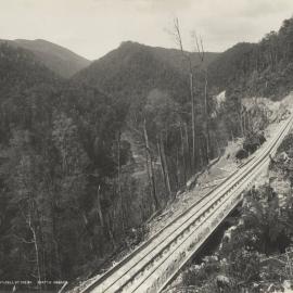 A newly laid railway line running through heavily timbered country in the King Valley, Tasmania.