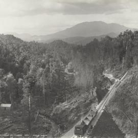 A newly laid railway line running through heavily timbered country at Halls Creek, south west of Queenstown, Tasmania.