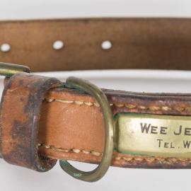 Brown leather dog collar