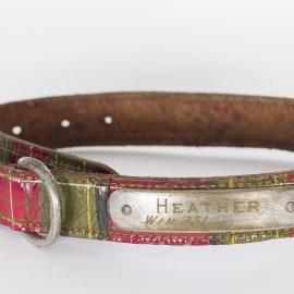 Leather dog collar with tartan pattern