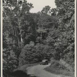 On Palmerston Highway, Innisfail District, North Queensland