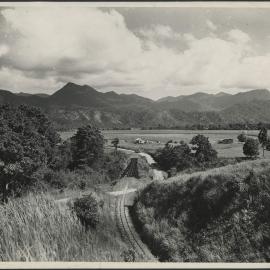 Mowbray, Mossman Valley near Cairns, North Queensland