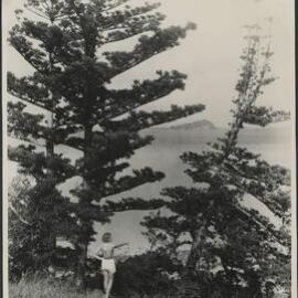 Whitsunday Passage from Hayman Island, Whitsunday Group