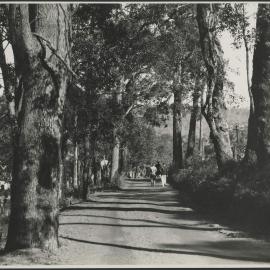 In the Roleystone Valley