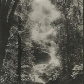 Saint Columba Falls (North East Tasmania)