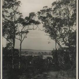 A peep from Arcadia, Lake Macquarie, a few miles south from Newcastle New South Wales