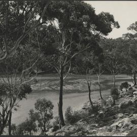 The beginning of Gore Creek from the Lane Cove River