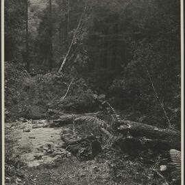 The ford at Roger River, North West Tasmania