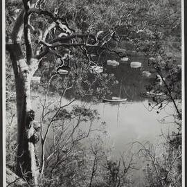 Ku - Ring - Gai Chase, scene near Bobbin Head, NSW
