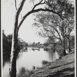 Wollundry Lagoon, Wagga, NSW