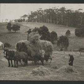 Collecting hay in Margaret River District, South West