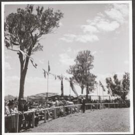 Rodeo crowd at Copmanhurst, NSW