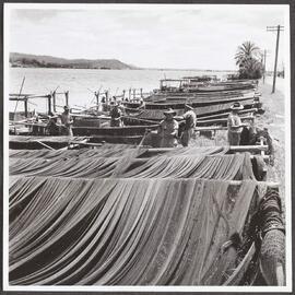 Fishermen overhauling and drying nets at Maclean, Clarence River, NSW