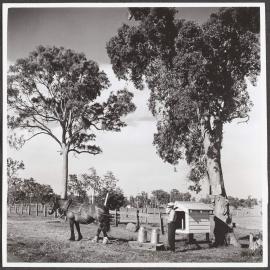 Cream being delivered at picking-up point, Lower Southgate.