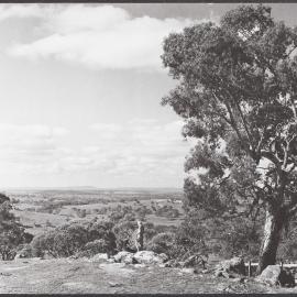 Mc Mahon's Gap, Castlemaine