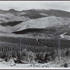 View on the catchment area of Canberra water supply