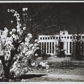 National Library, Canberra, ACT