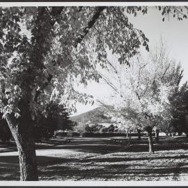 Autumn vista, Canberra, ACT