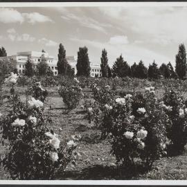 Federal Parliament house, Canberra