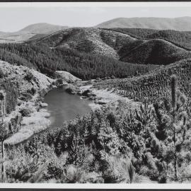 Forestry scene, ACT