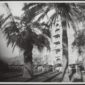 North Terrace, Adelaide, South Australia. (South Australian Government Photo)