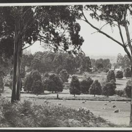 Warragul District, Victoria