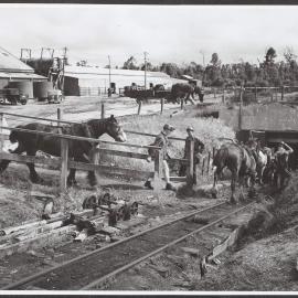Miners going below at Collie coalfields, WA