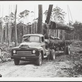 Loading a logging truck.