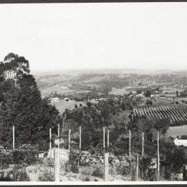 A view from Kurrajong Heights looking across orchard country