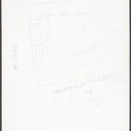 Typical Australian gum tree on Lachlan River near Condobolin, NSW