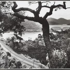 Where the Great Northern Railway approaches the Hawkesbury River, 30 miles north of Sydney.