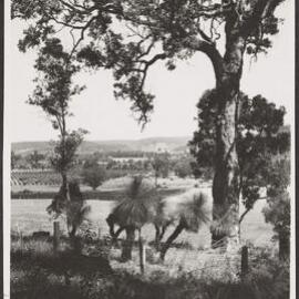 Country view, Bridgetown