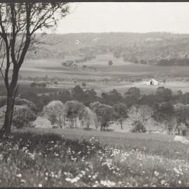 Part of Muresk Agricultural College area near Northam in the wheat belt