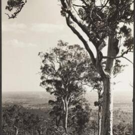 Darling Range, National Park