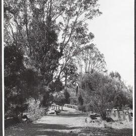 Road scene near Donnybrook