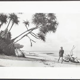Man standing on beach on Heron Island