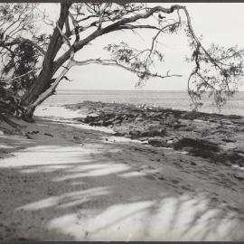 Heron Island, Great Barrier Reef, off Gladstone