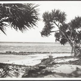 Heron Reef from Heron Island, Capricorn Group.